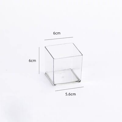 Customize Transparent Acrylic Storage Box Can Be Used to Display Plant